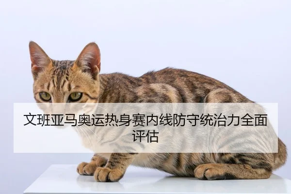 文班亚马奥运热身赛内线防守统治力全面评估