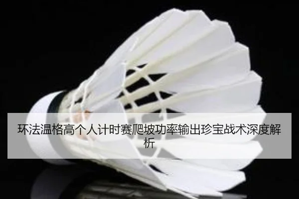 huan-fa-wen-ge-gao-ge-ren-ji-shi-sai-pa-po-gong-lv-shu-chu-zhen-bao-zhan-shu-shen-du-jie-xi-3-738.jpg