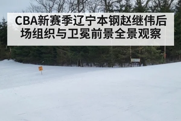 CBA新赛季辽宁本钢赵继伟后场组织与卫冕前景全景观察